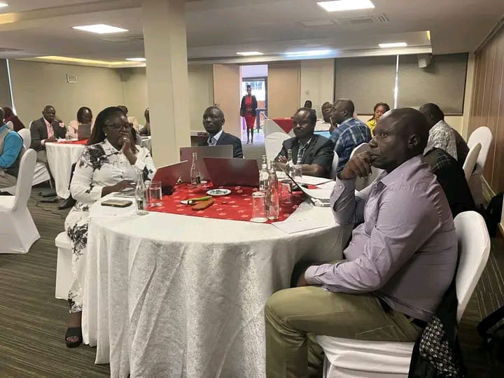 capacity building 